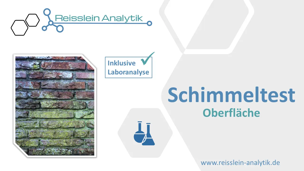 Schimmel-Tests, Labor und Do it Yourself ab 29,00 €