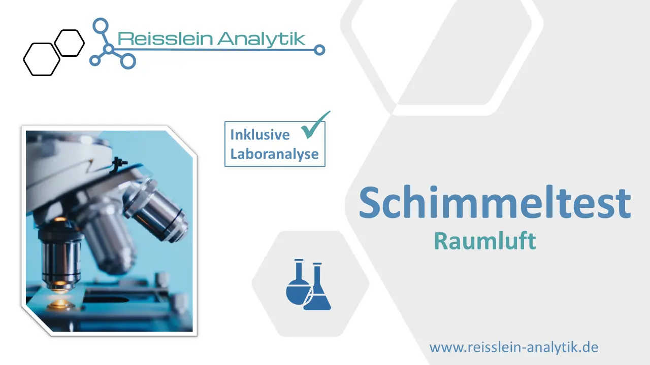 Schimmeltest Raumluft (2 Räume) inkl. Laborauswertung