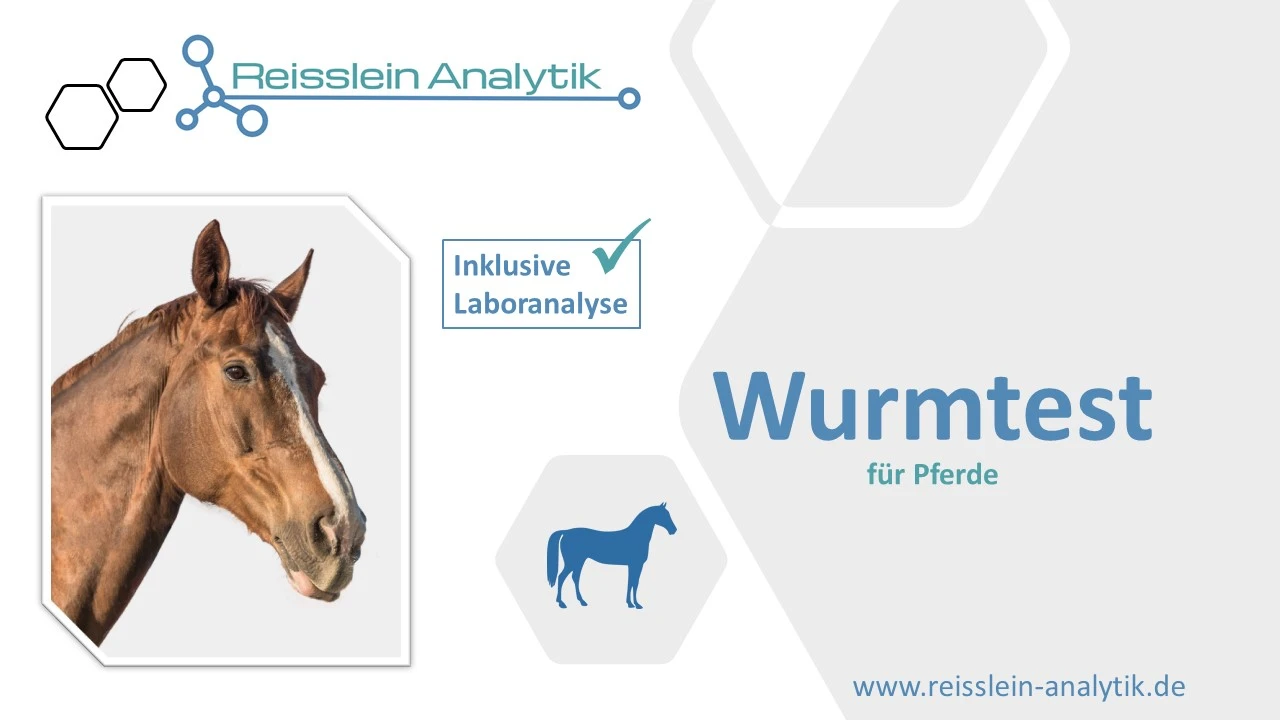 Jahrespaket 4x Wurmtest Pferd inkl. Laboranalyse