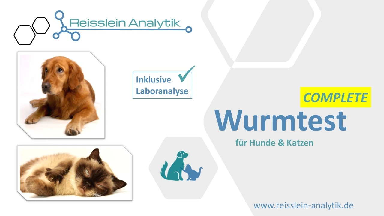 Wurmtest Hund / Katze COMPLETE (inkl. Giardien, Lungenwürmer und Laboranalyse)