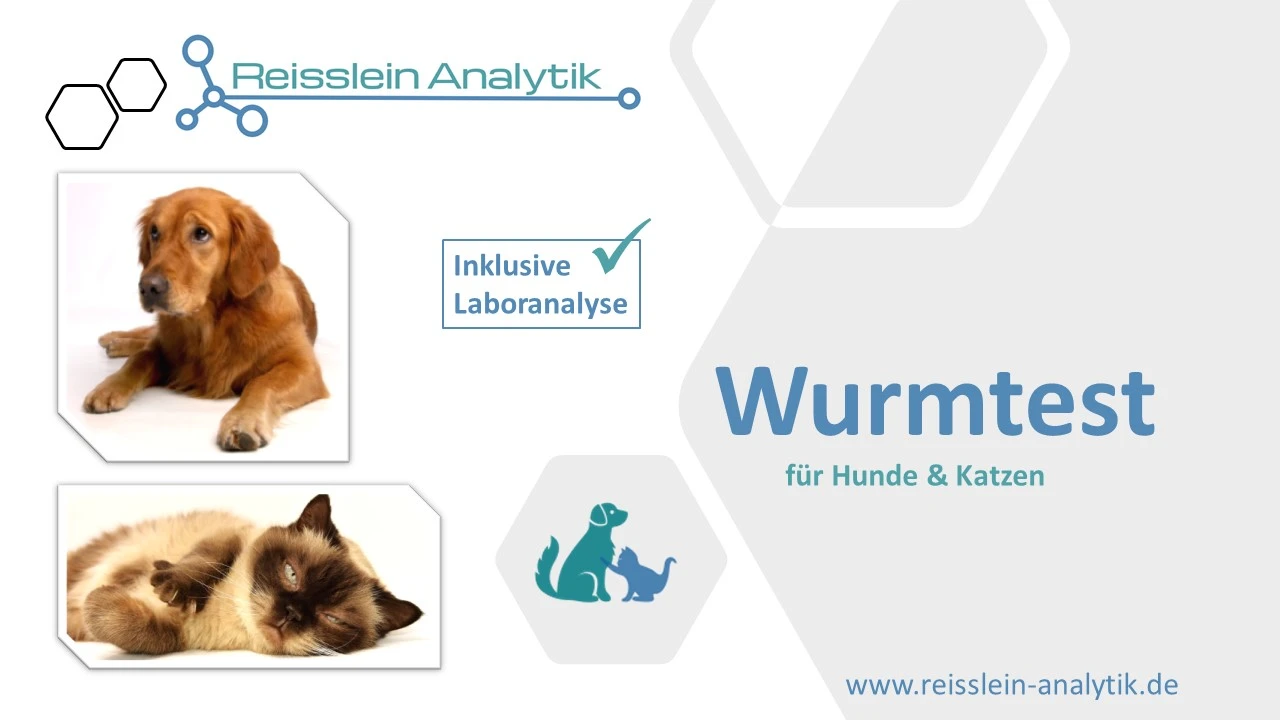 Jahrespaket 4x Wurmtest Hund / Katze inkl. Laboranalyse