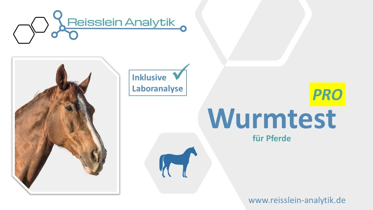 Wurmtest Pferd PRO (inkl. Wurmeizählung und Laboranalyse)