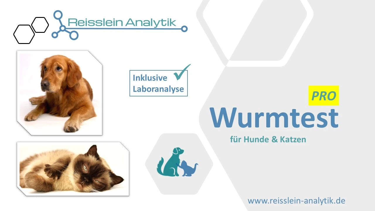 Wurmtest Hund / Katze PRO (inkl. Giardien und Laboranalyse)